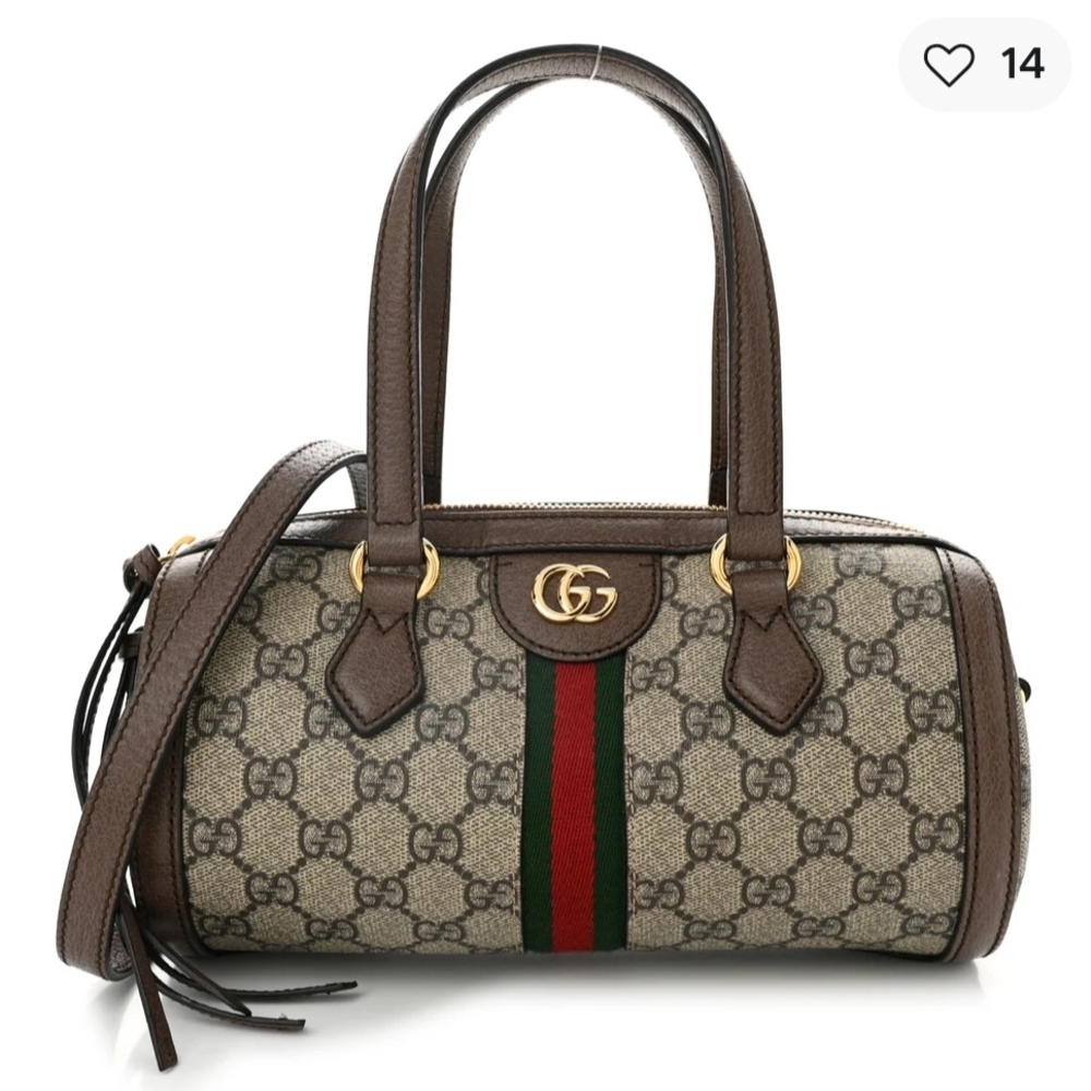 Gucci Brown and Beige Shoulder Bag with Gold Accents